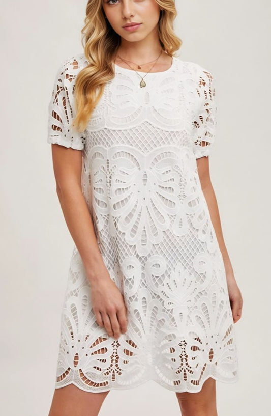 Lace Overlay Mini Dress with Intricate Cutout Pattern Puff Sleeve Detail