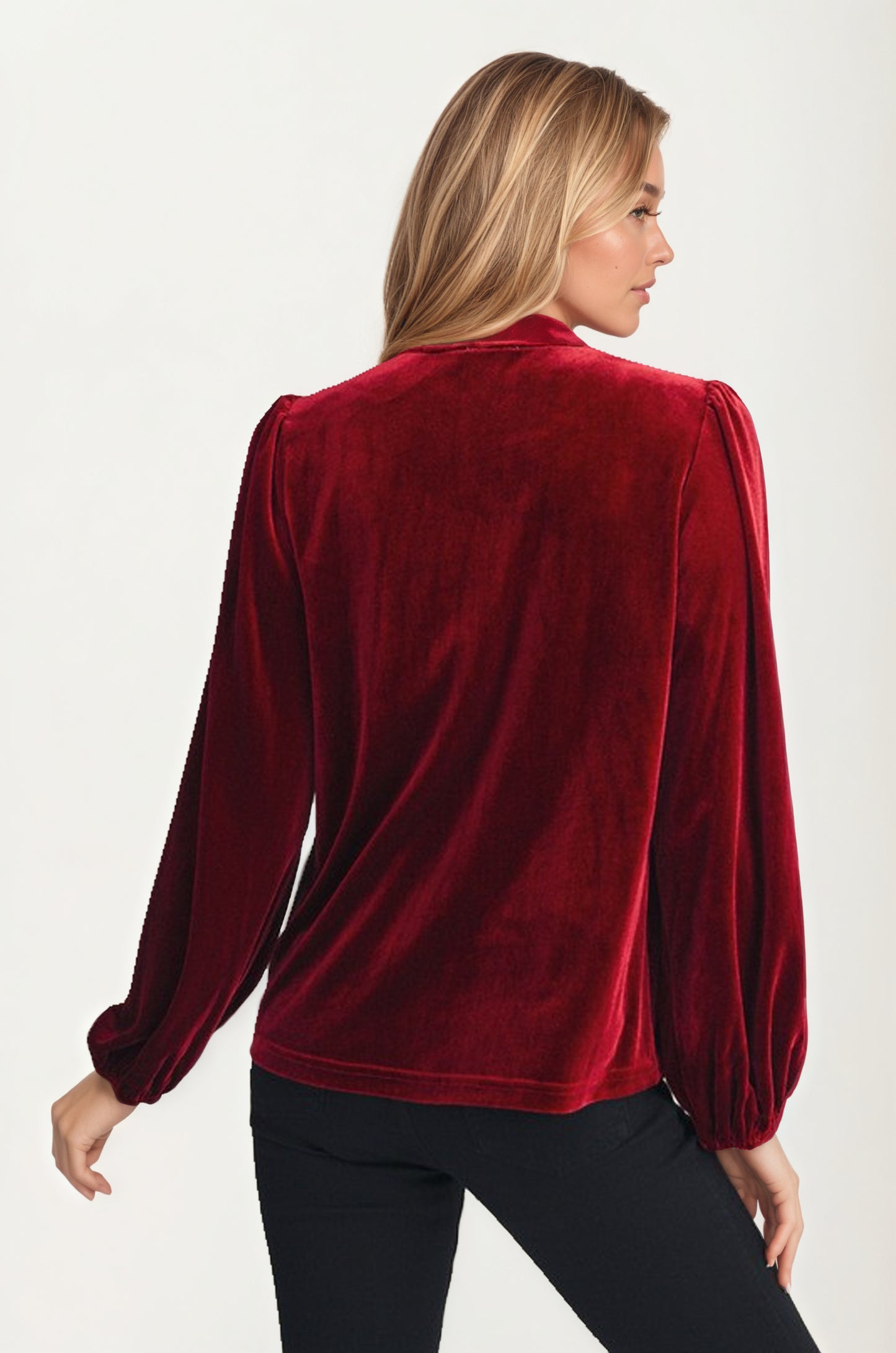 Embroidered Velvet Blouse with Tie Neck and Long Sleeves