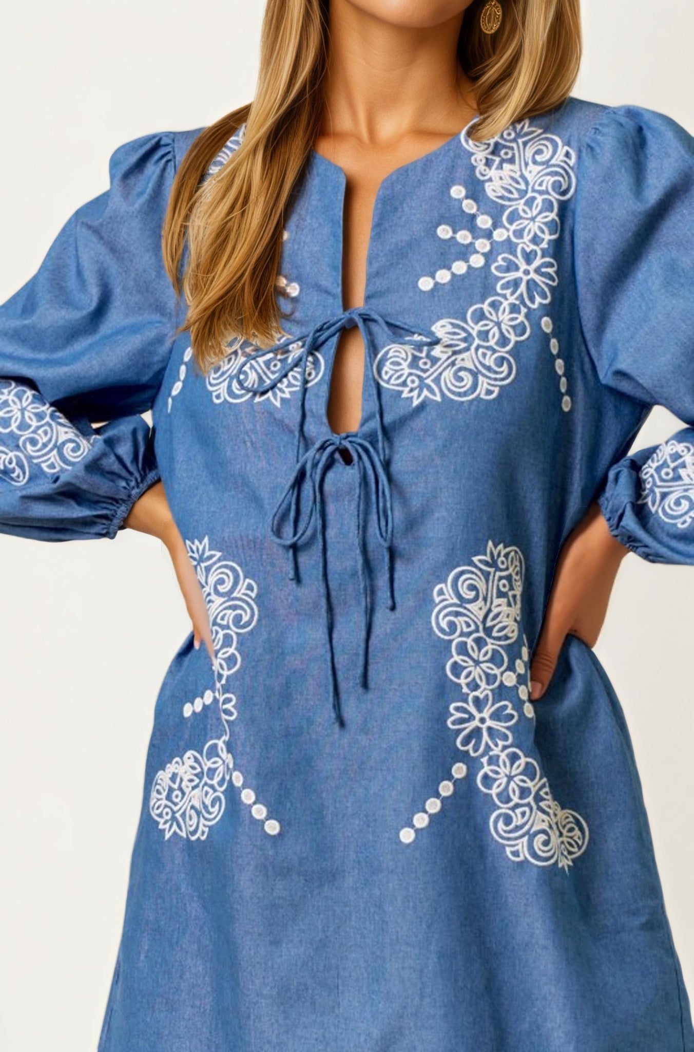 Embroidered Chambray Mini Dress with Long Sleeves
