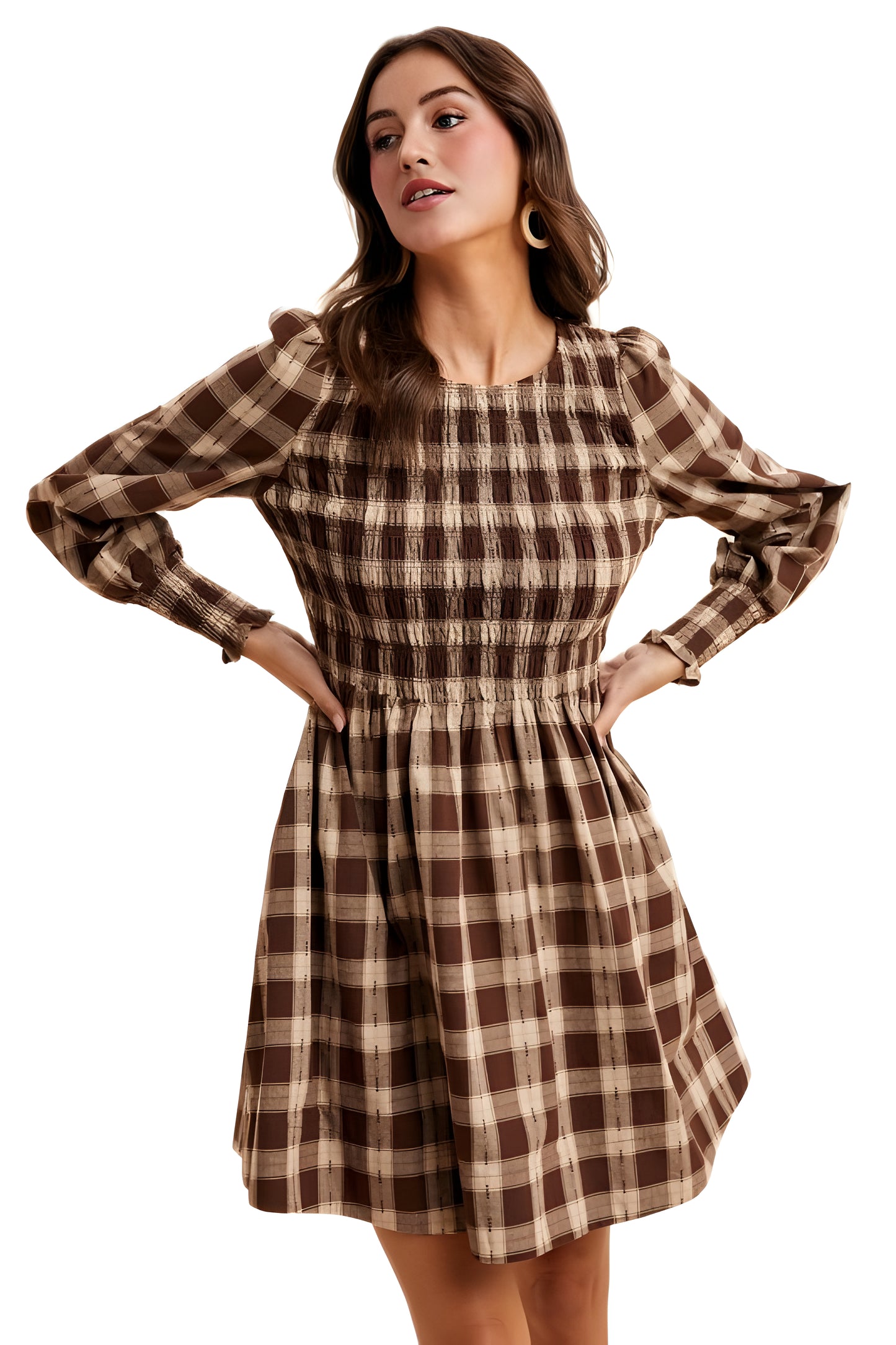 Smocked Plaid Long Sleeve Mini Dress in Brown Tones