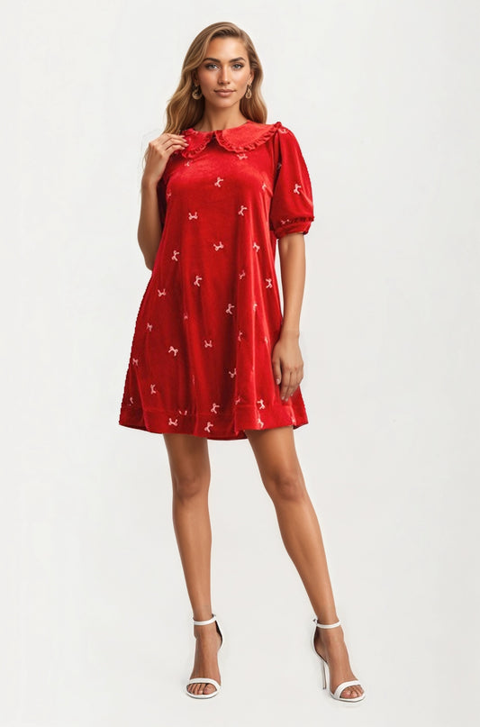 Velvet Mini Dress with Embroidered Details and Peter Pan Collar