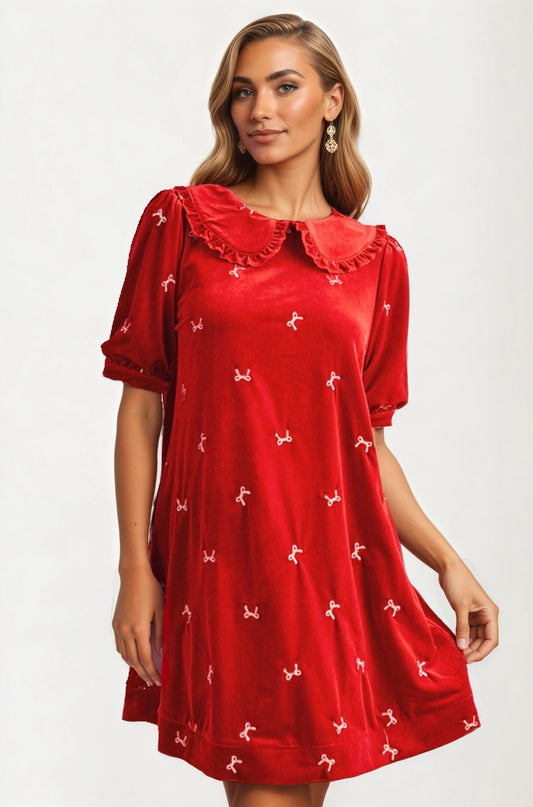 Velvet Mini Dress with Embroidered Details and Peter Pan Collar