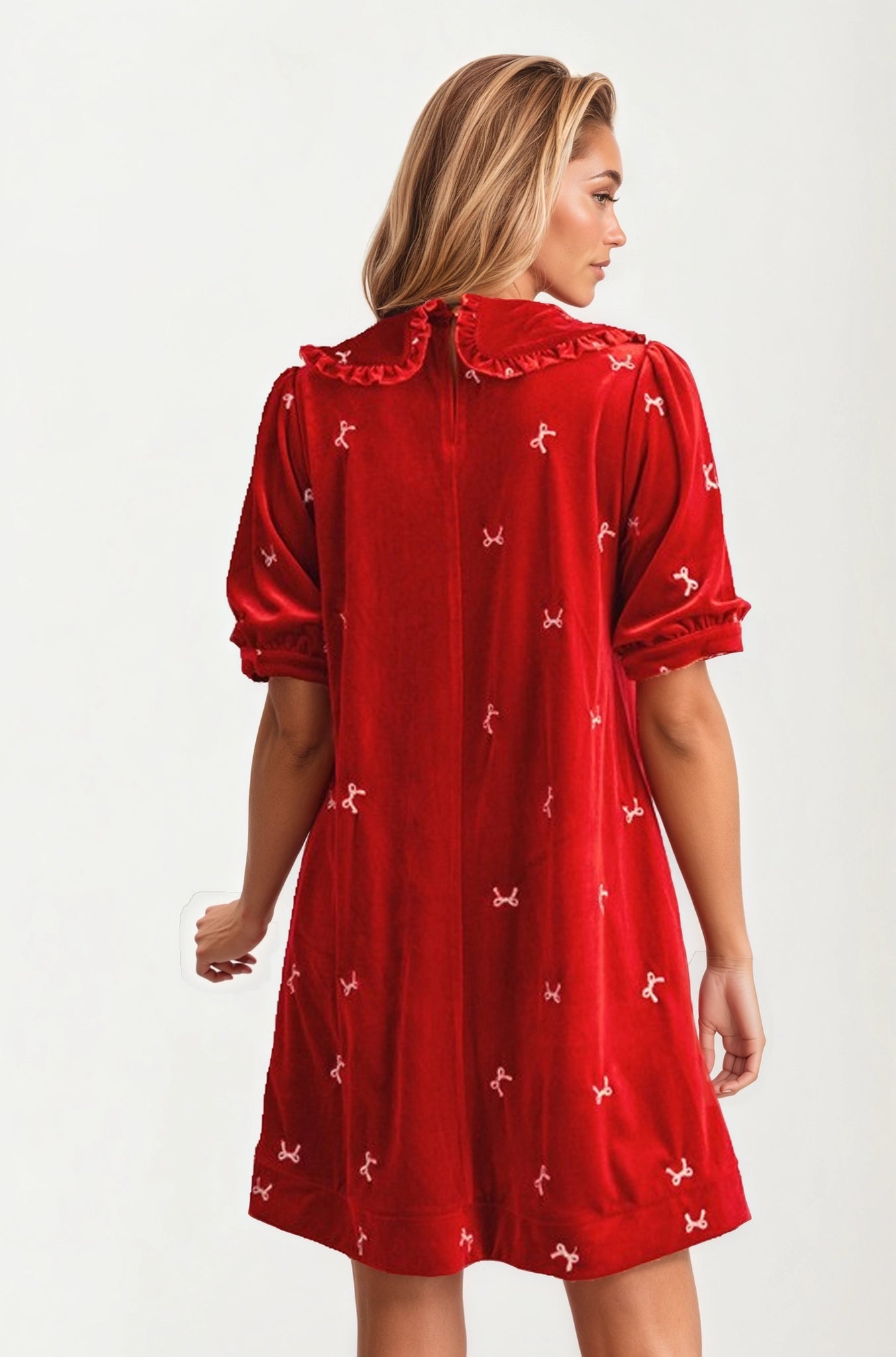 Velvet Mini Dress with Embroidered Details and Peter Pan Collar