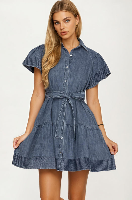 Chambray Button Front Dress with Flutter Sleeves