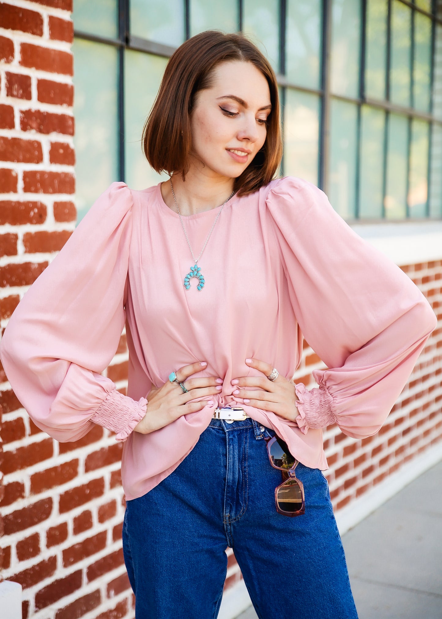 Solid Lantern Sleeve Blouse