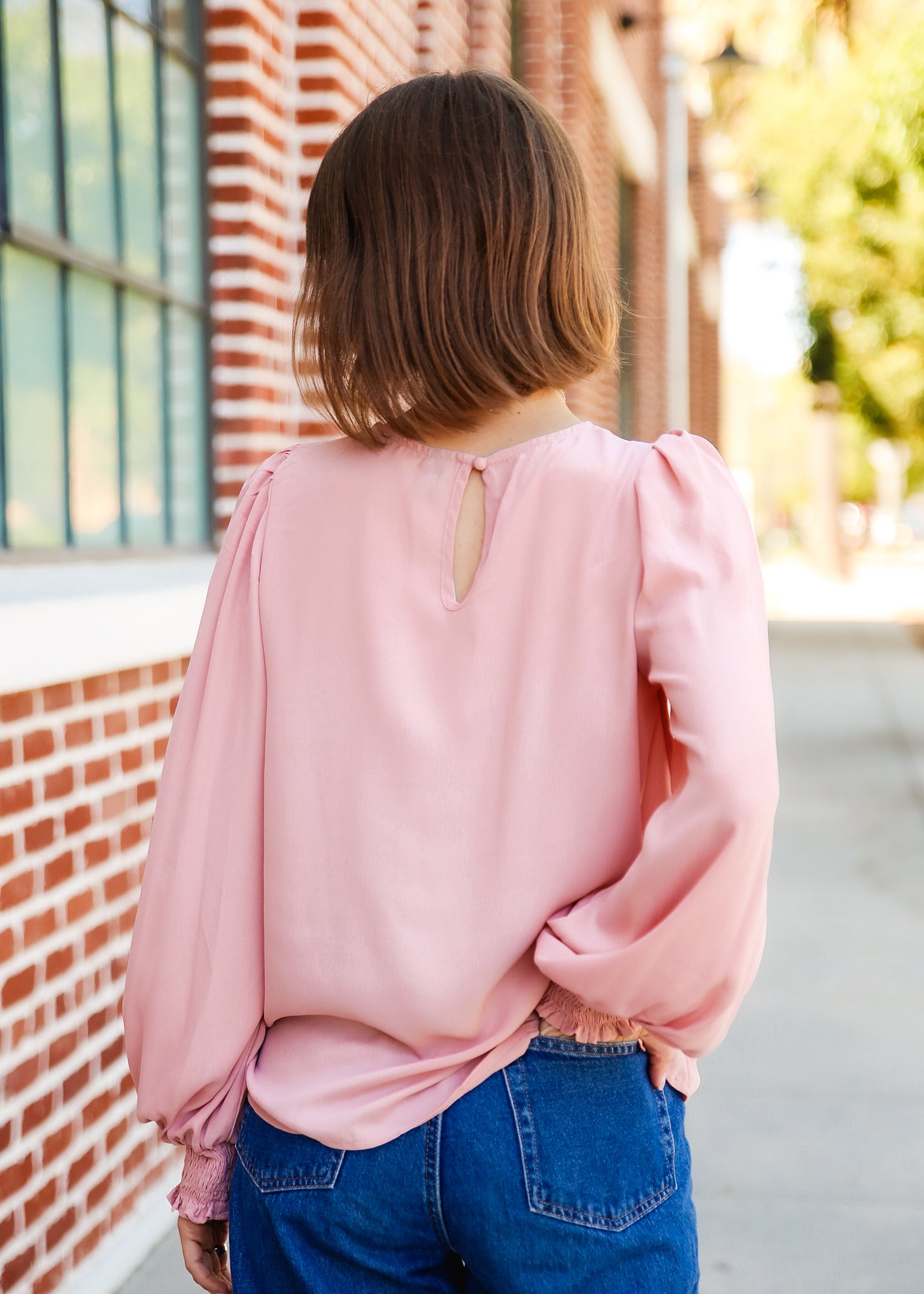 Solid Lantern Sleeve Blouse