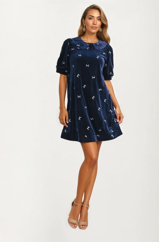 Velvet Mini Dress with Embroidered Details and Peter Pan Collar