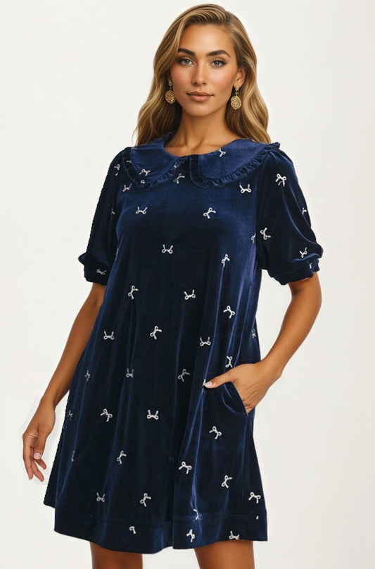 Velvet Mini Dress with Embroidered Details and Peter Pan Collar